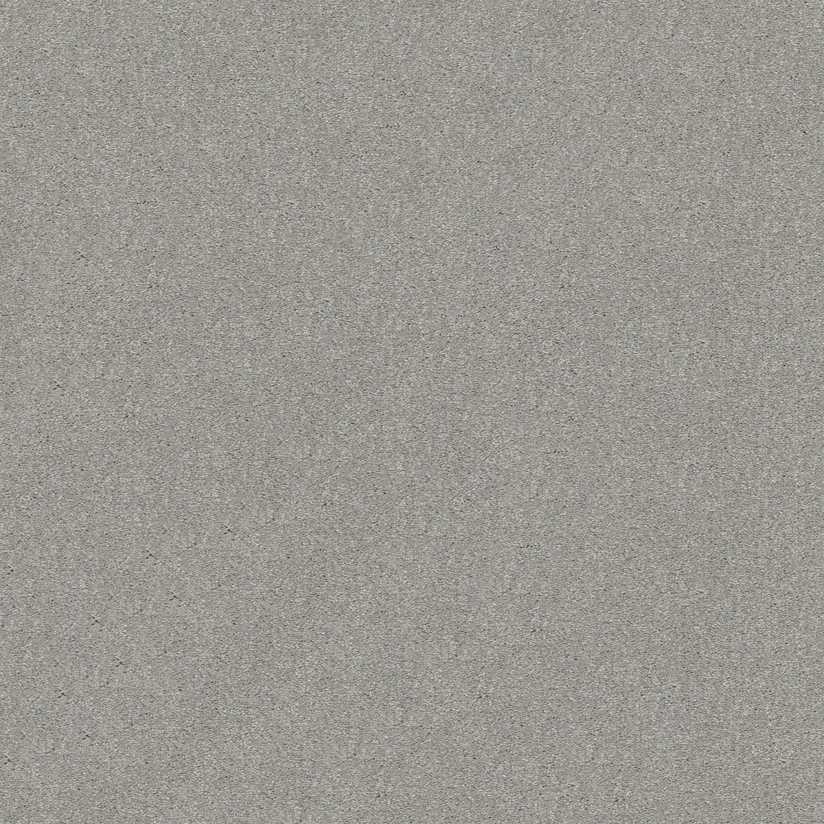 Shaw Floors Attainable (Solid) Platinum flooring