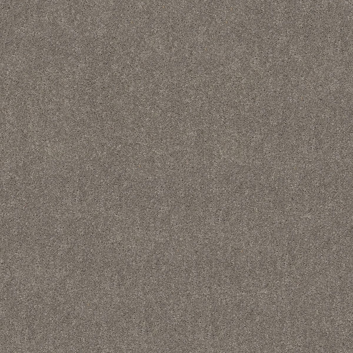 Shaw Floors Hot Topic Winter Birch flooring