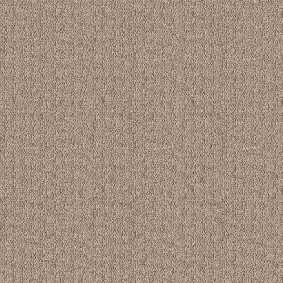 Shaw Floors Loop de Loop Pebble Path flooring