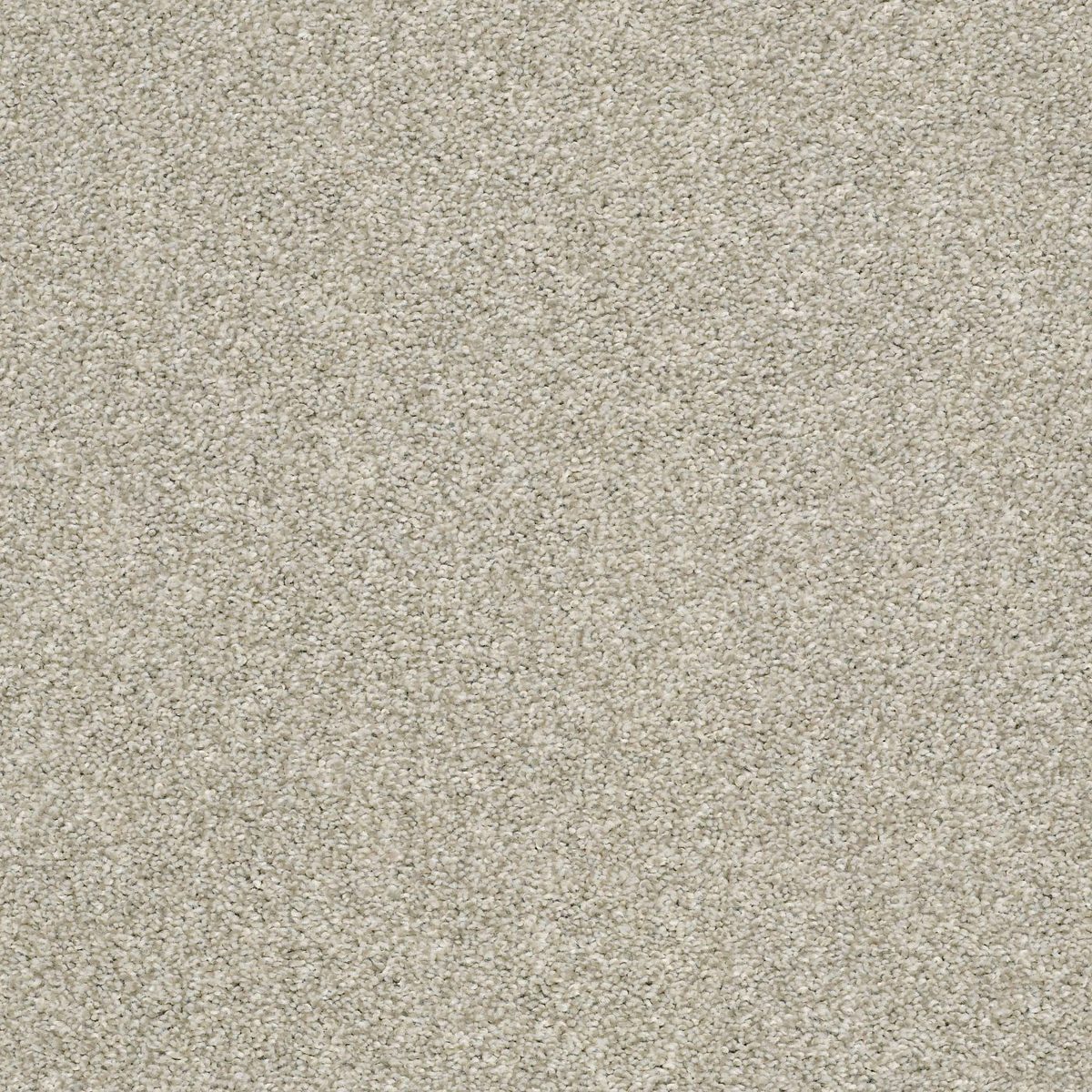 Shaw Floors Cabana Bay (T) Ecru flooring