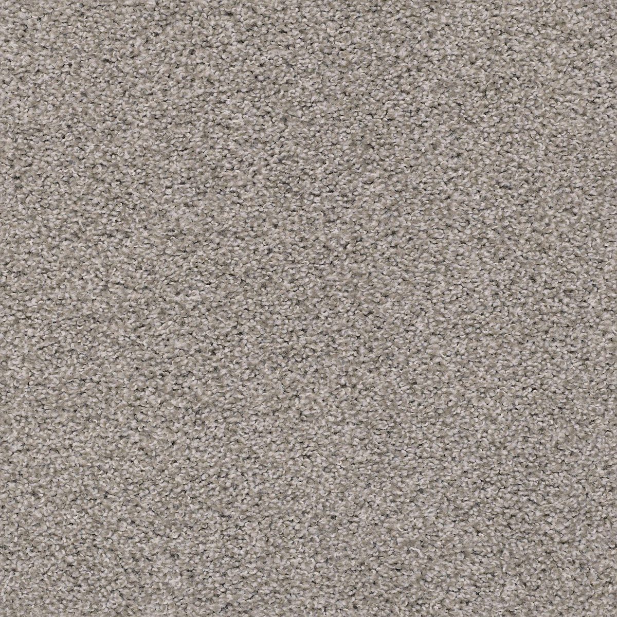 Shaw Floors Poised Great Greige flooring