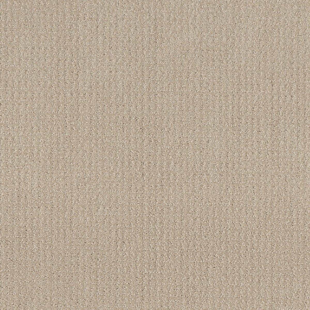 Shaw Floors Translate Biscuit flooring