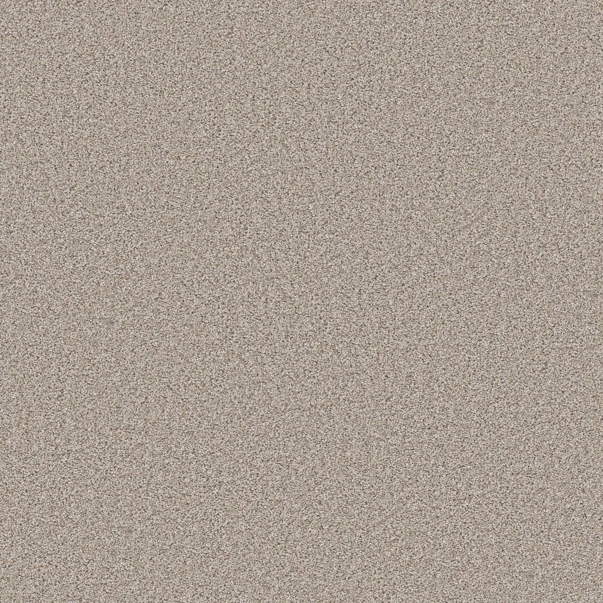 Shaw Floors Agility Magnolia Bloom flooring