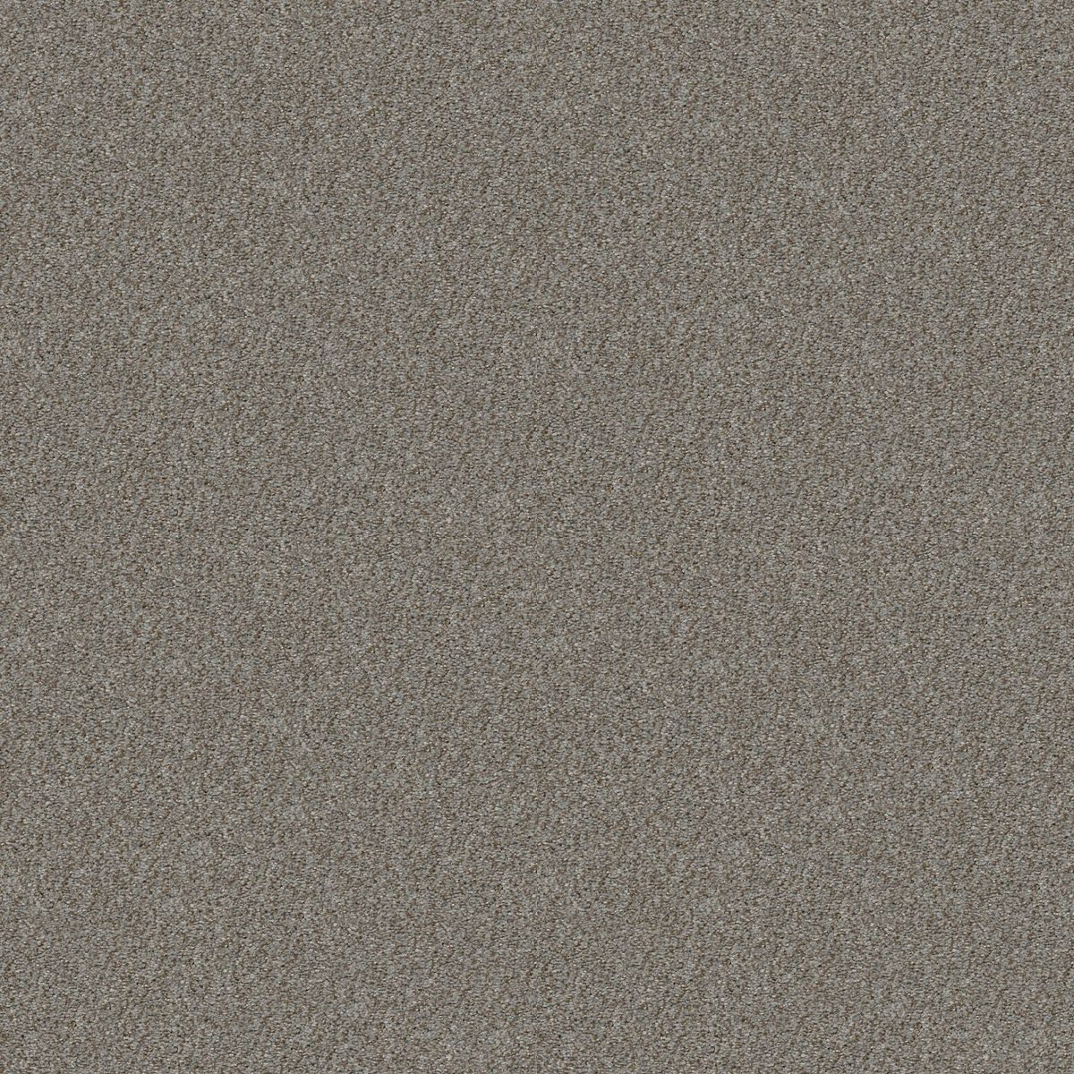 Shaw Floors Cabana Life (B) Sierra Mist flooring