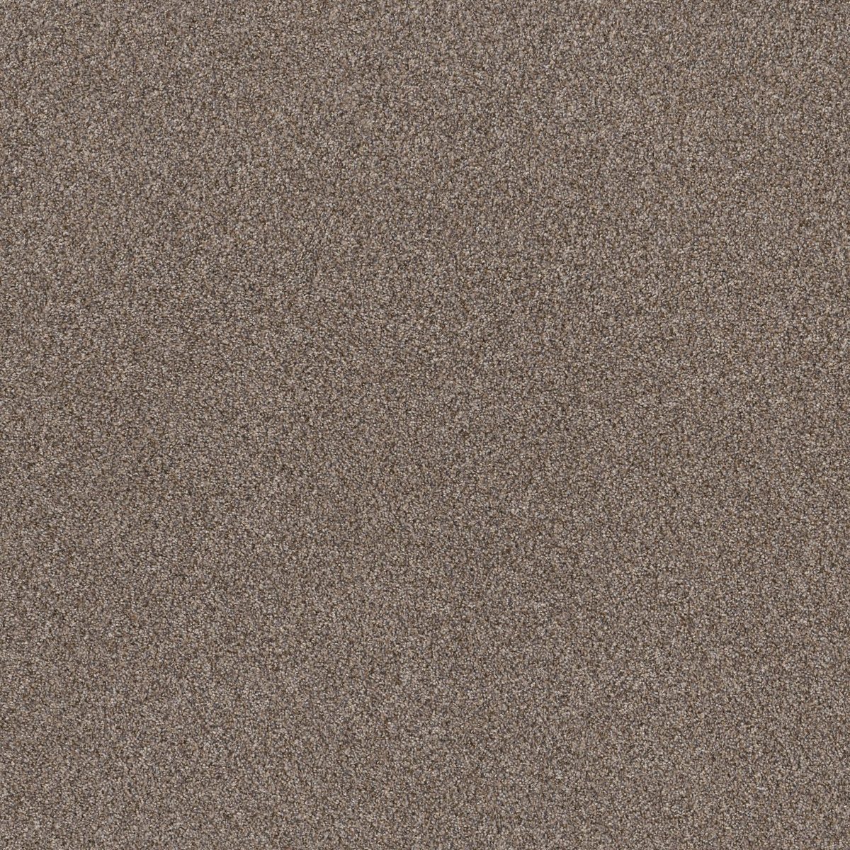 Shaw Floors Right Choice Sandstone flooring