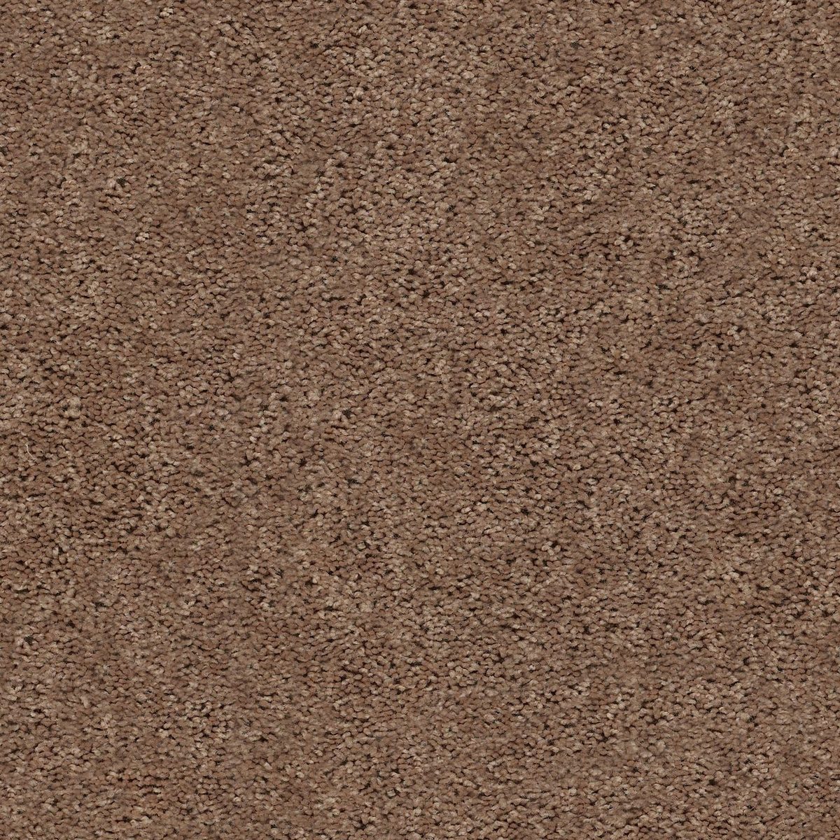 Shaw Floors Break Away (S) Clay flooring