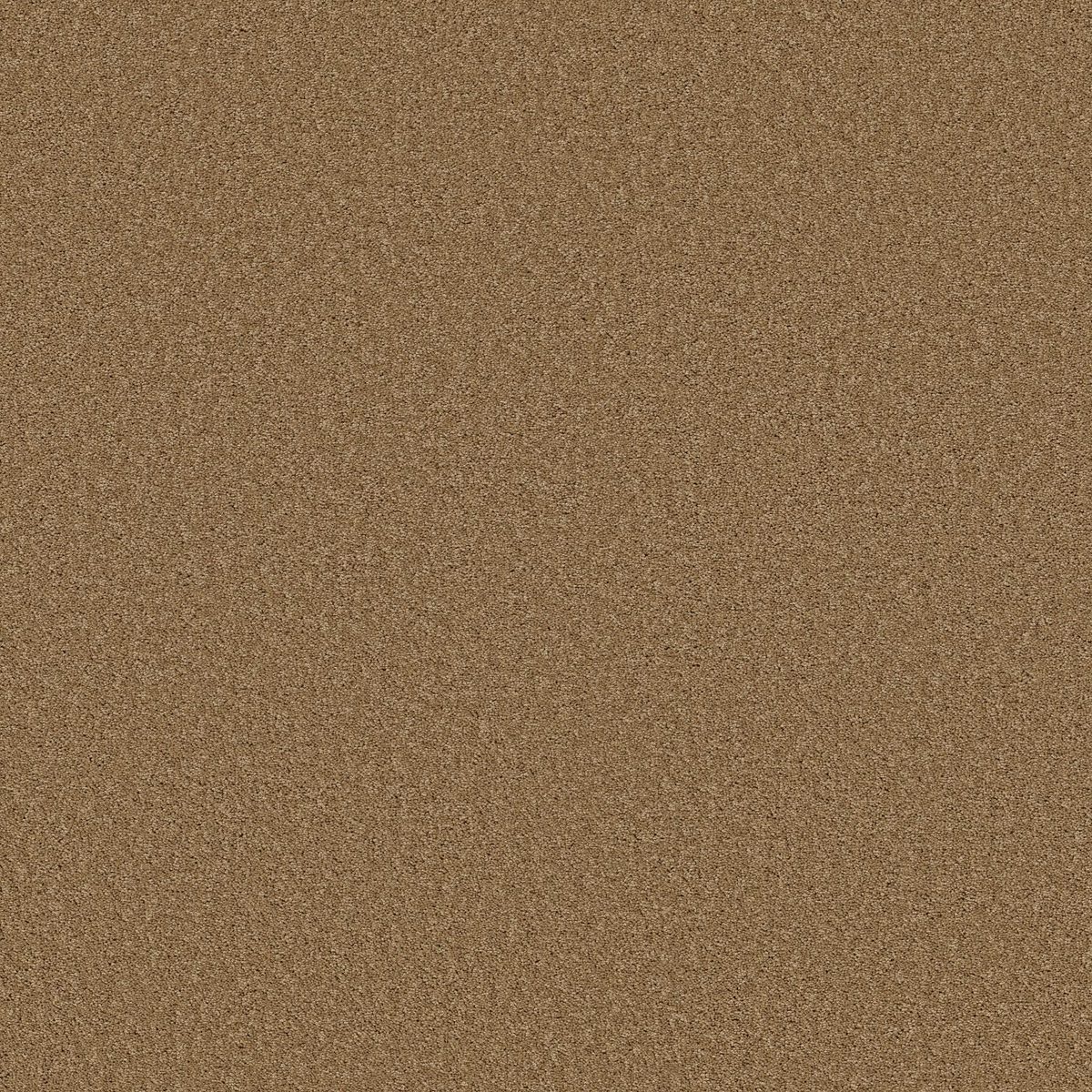 Shaw Floors Las Cruces Radiance flooring