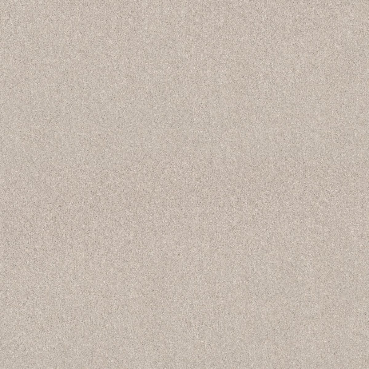 Shaw Floors Easy Spirit II Minimalist flooring