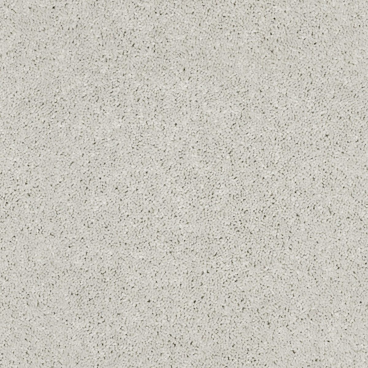 Shaw Floors Cabana Bay (S) Ice flooring