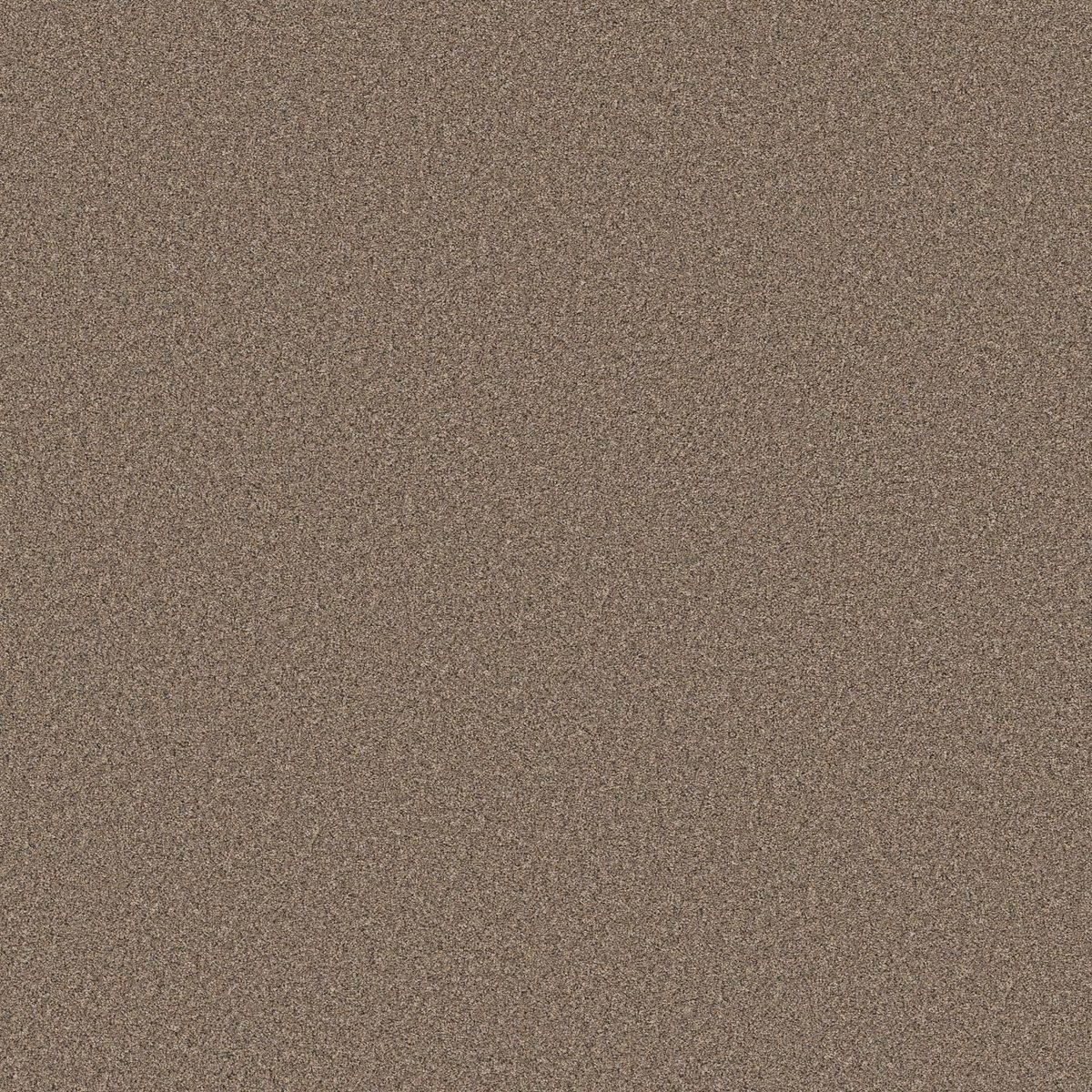 Shaw Floors Wonderland II Slate flooring