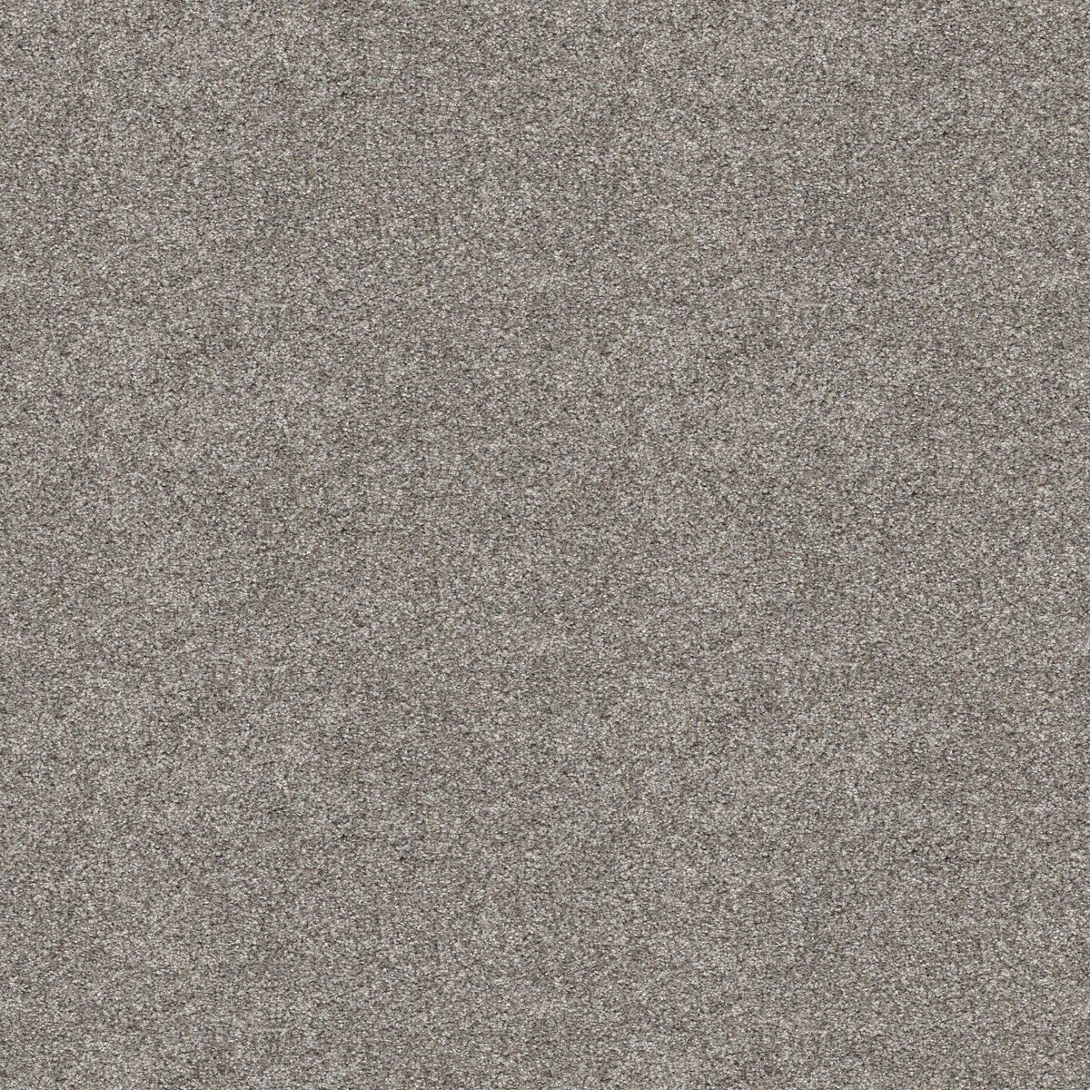 Shaw Floors Elevated II River Rock flooring