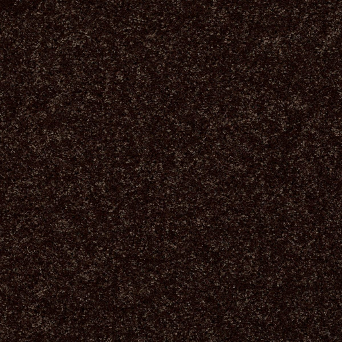 Shaw Floors All Star Weekend II Coffee Bean flooring
