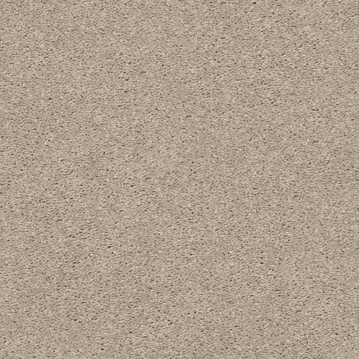 Shaw Floors Cabana Life (S) Shifting Sand flooring