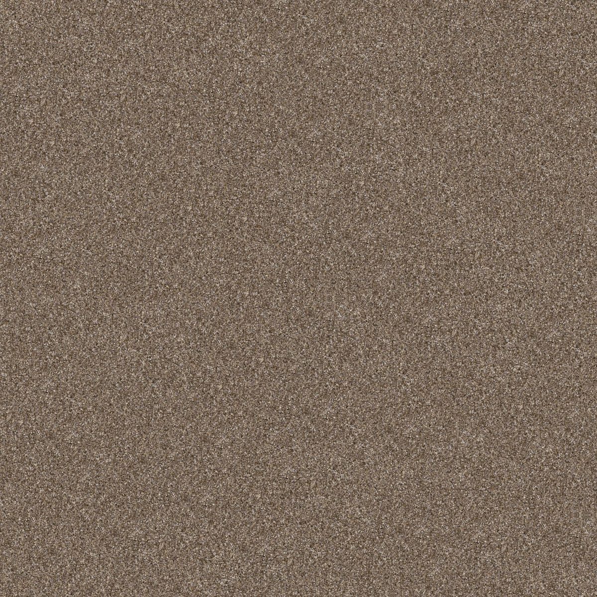 Shaw Floors Yes You Can I 12' Honeycomb flooring