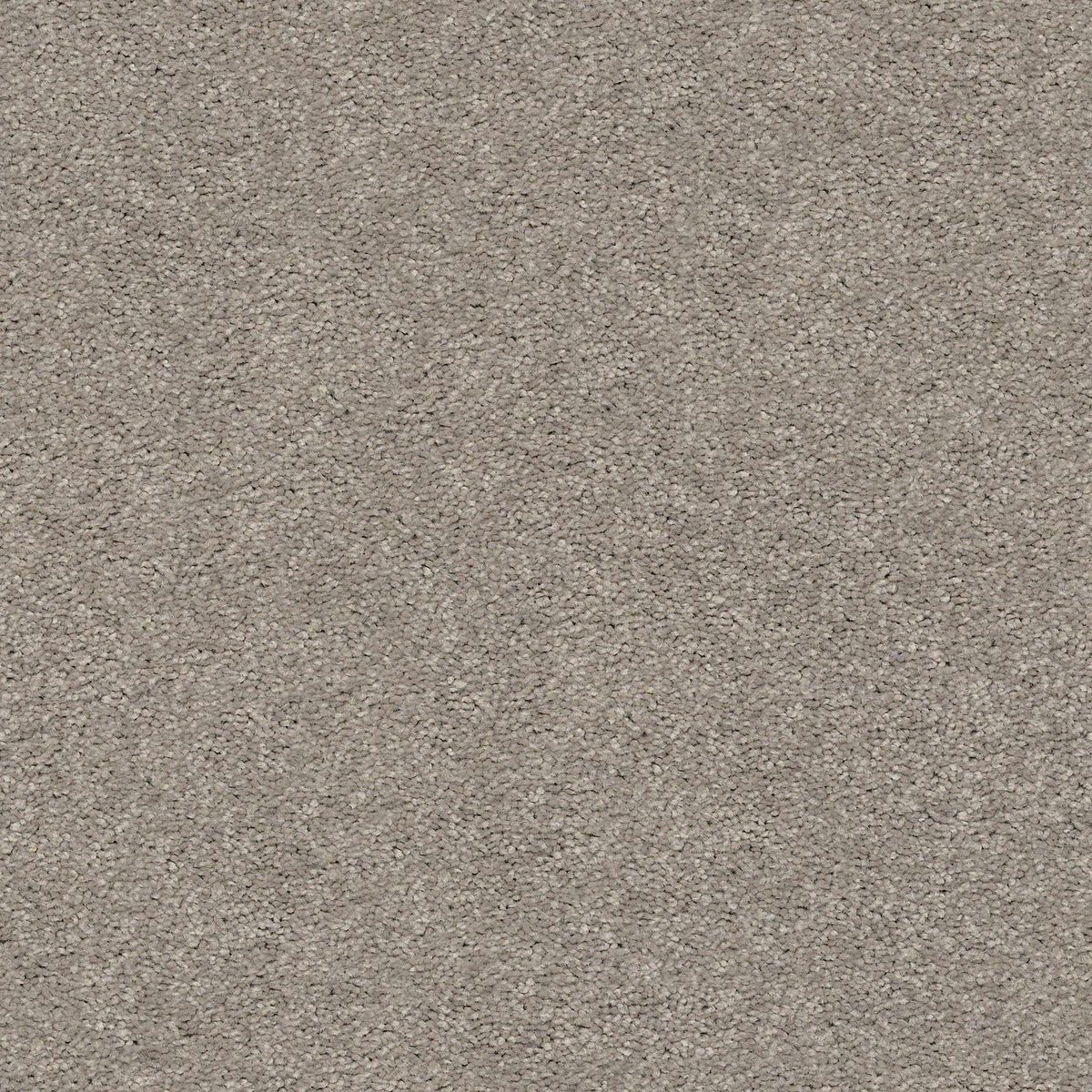 Shaw Floors Cabana Life (S) Perfect Taupe flooring