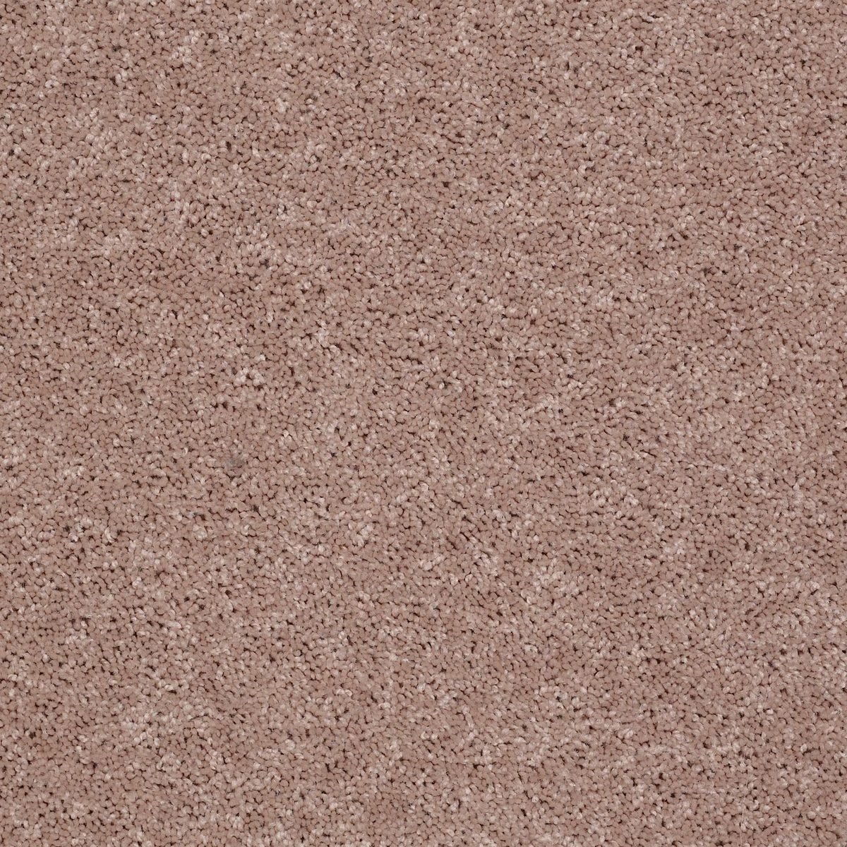 Shaw Floors All Star Weekend II Honeycomb flooring