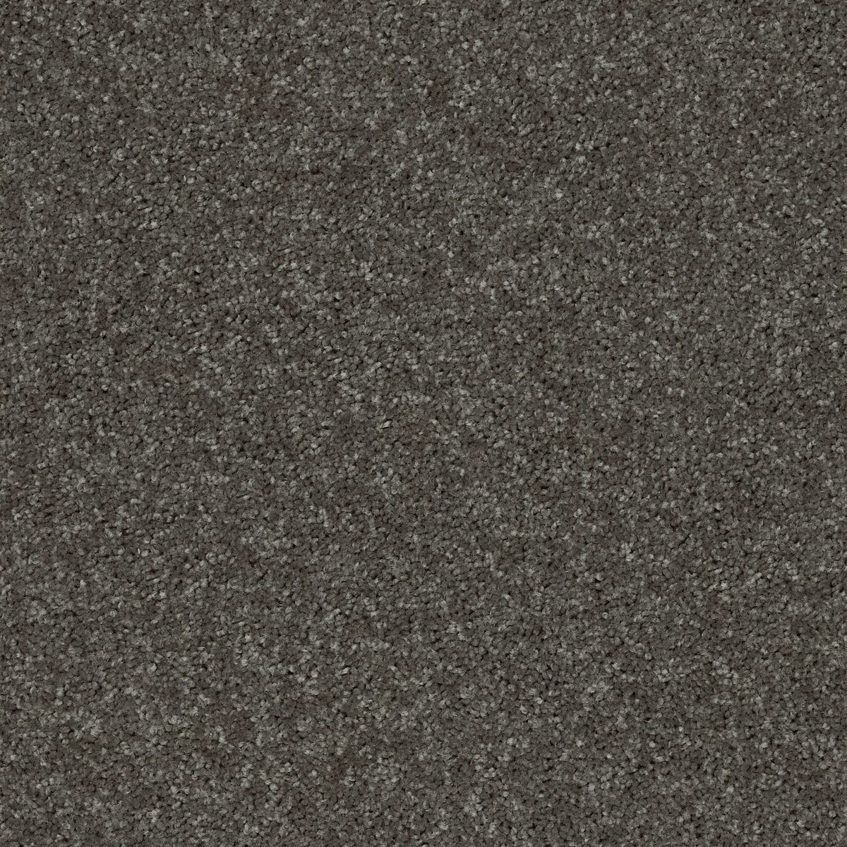 Shaw Floors All Star Weekend II Barn Beam flooring