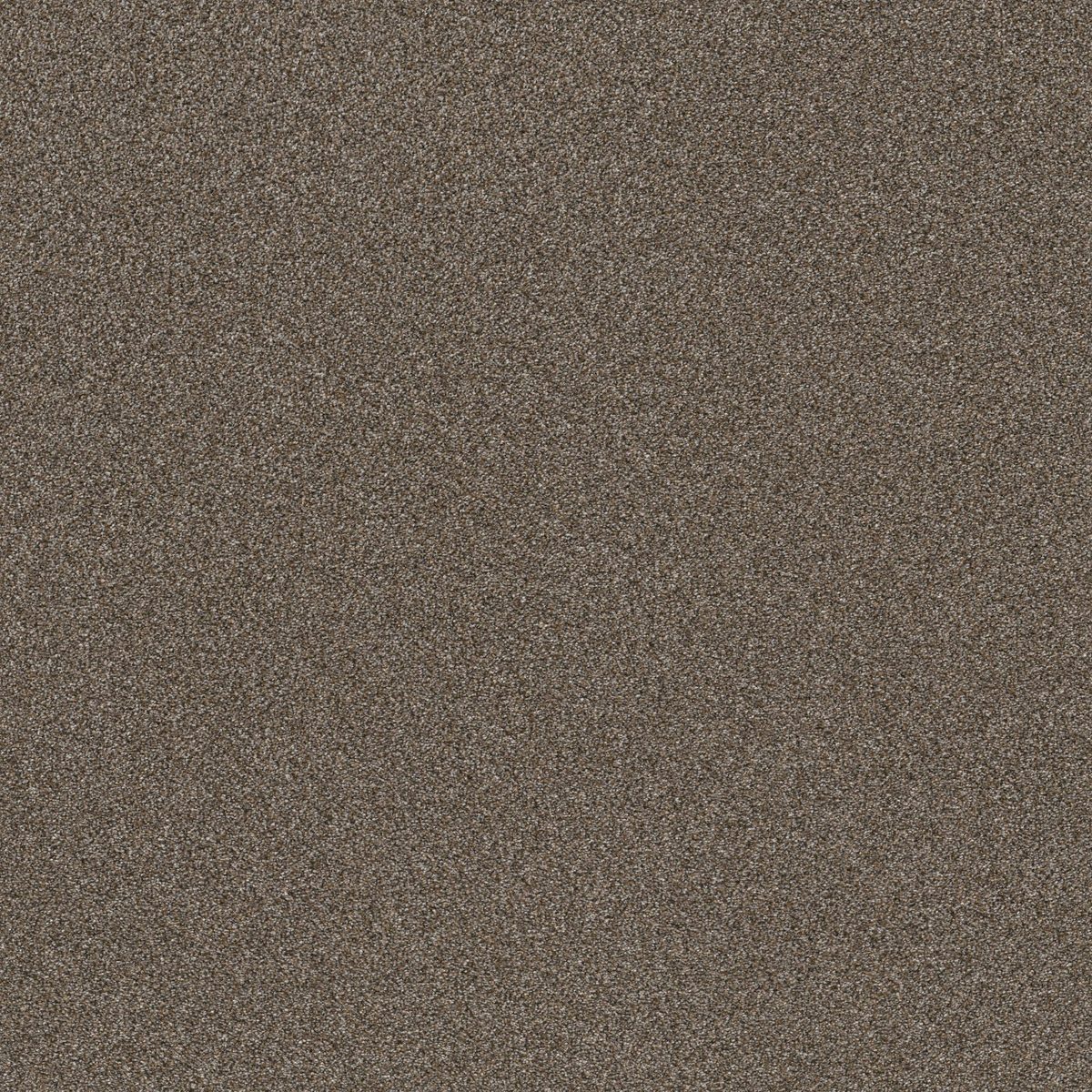 Shaw Floors TruSplendor City Scape flooring