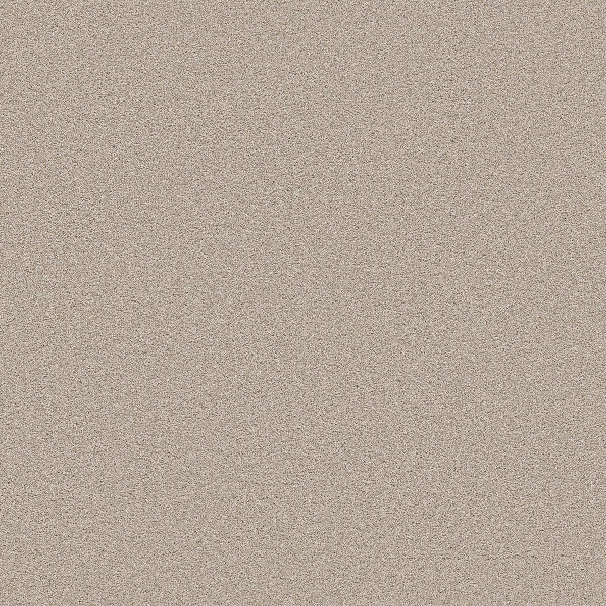Shaw Floors Wonderland III 12' Outer Banks flooring