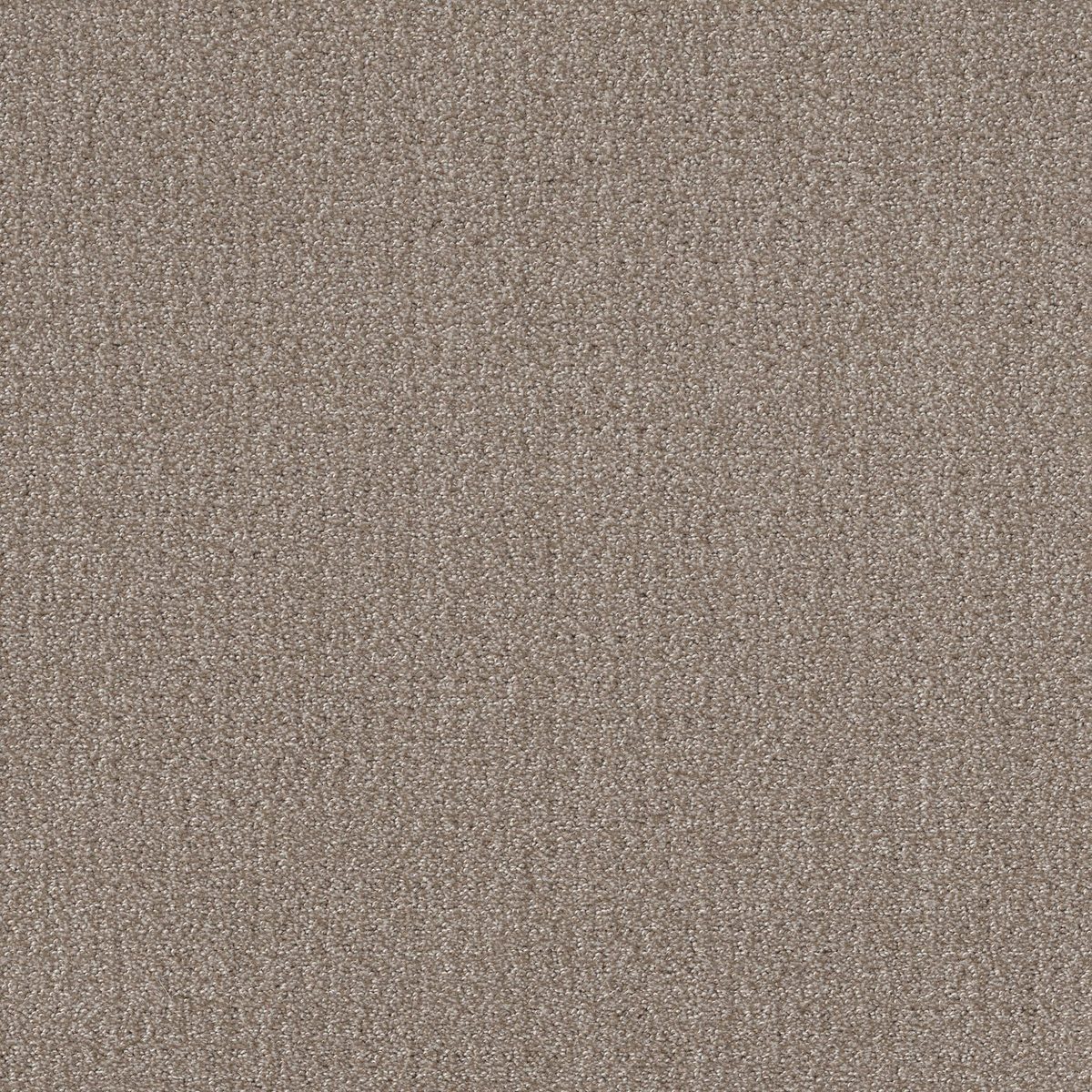 Shaw Floors Translate Simply Tan flooring
