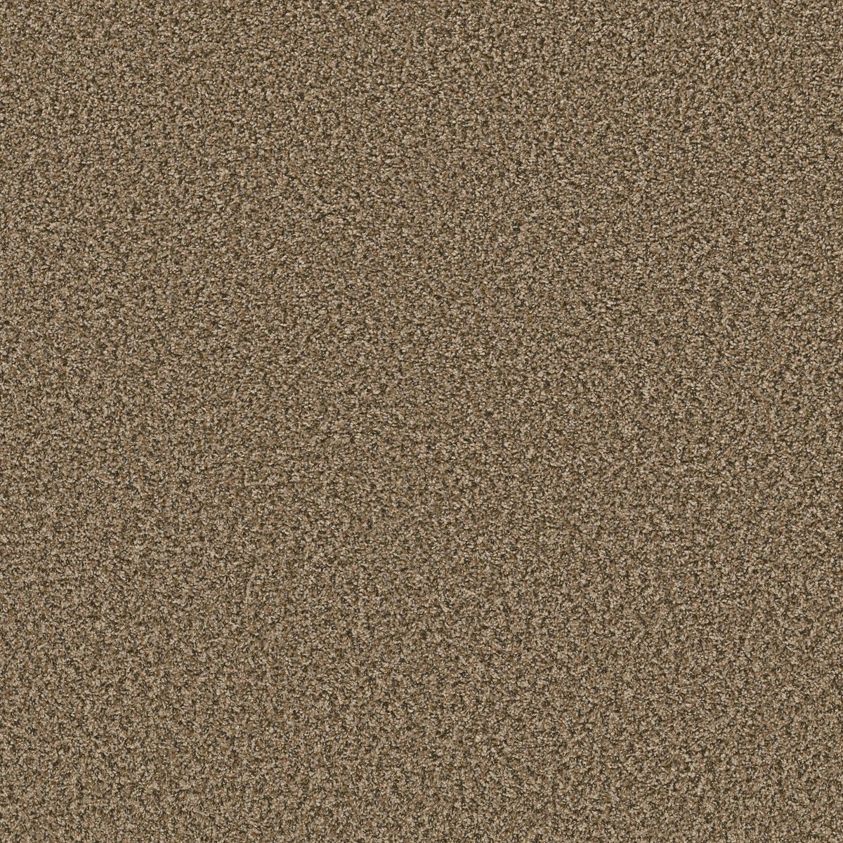 Shaw Floors Break Away (B) Desert flooring