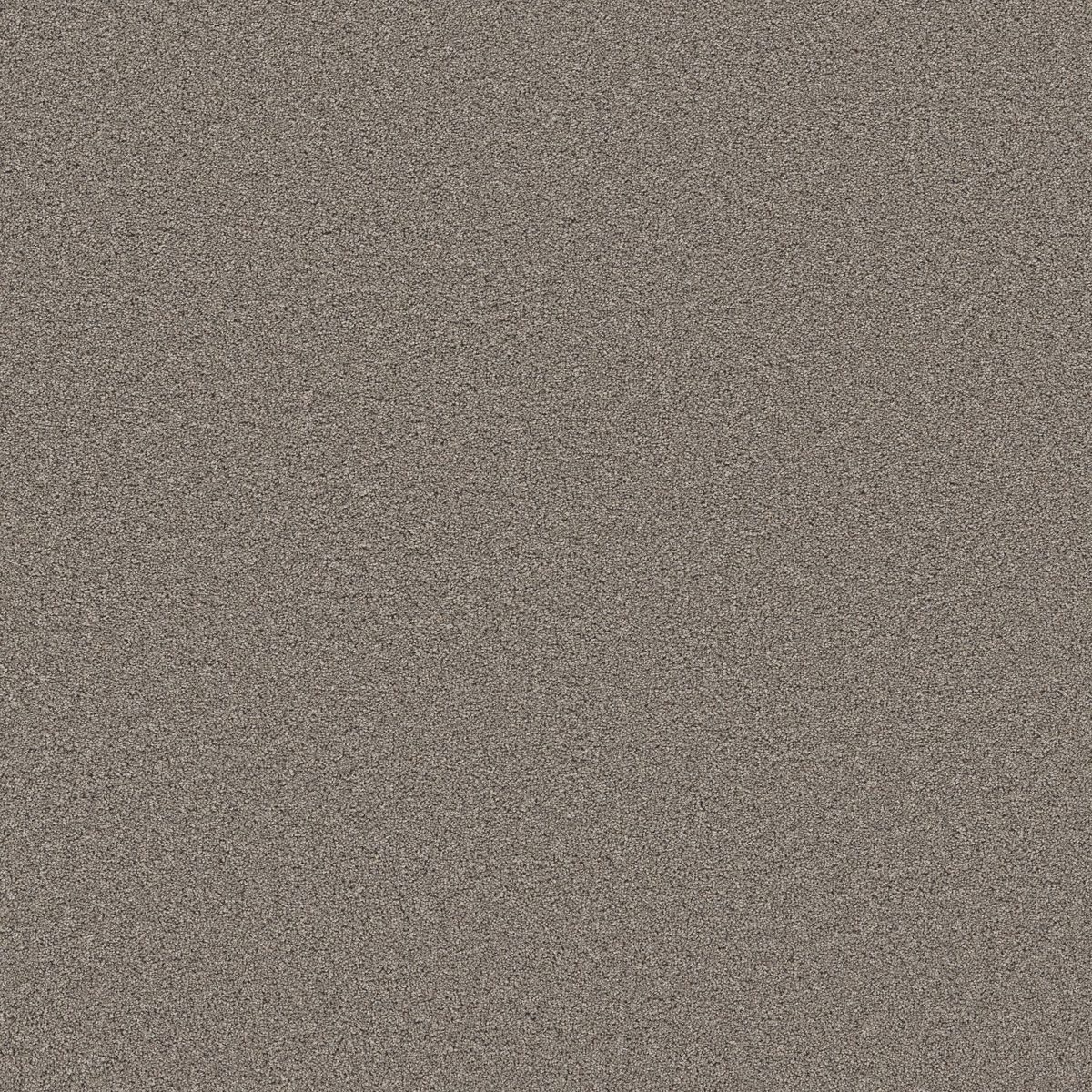 Shaw Floors Wonderland III 12' Creek Bed flooring