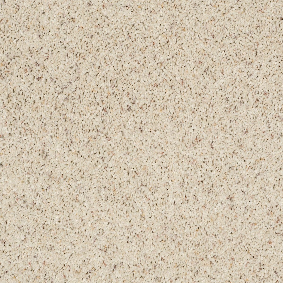 Shaw Floors Fusion Value 400 Low Tide flooring