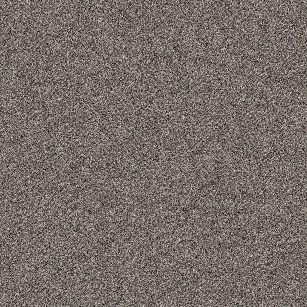 Shaw Floors Break Free Oyster flooring