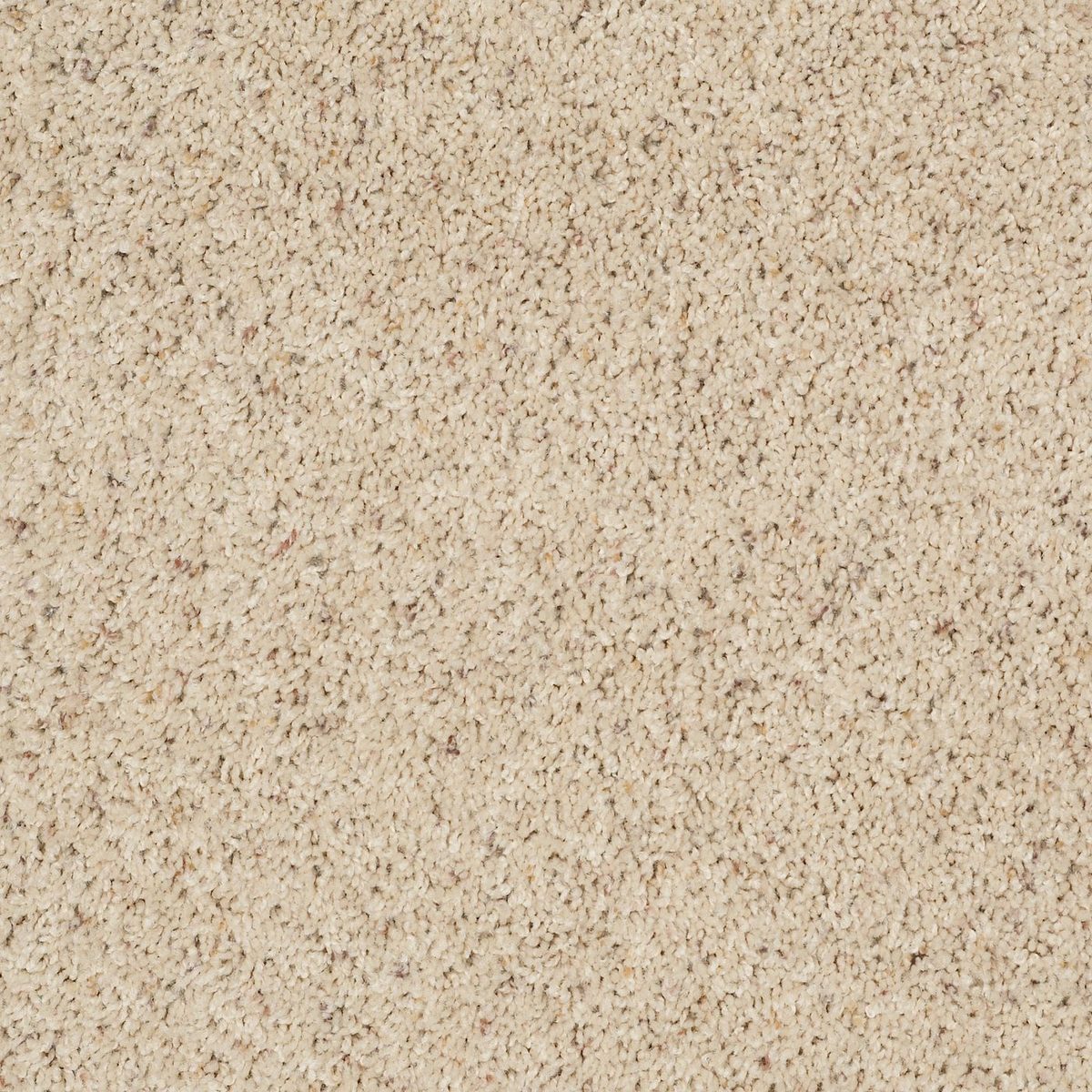 Shaw Floors Fusion Value 400 Southern Charm flooring
