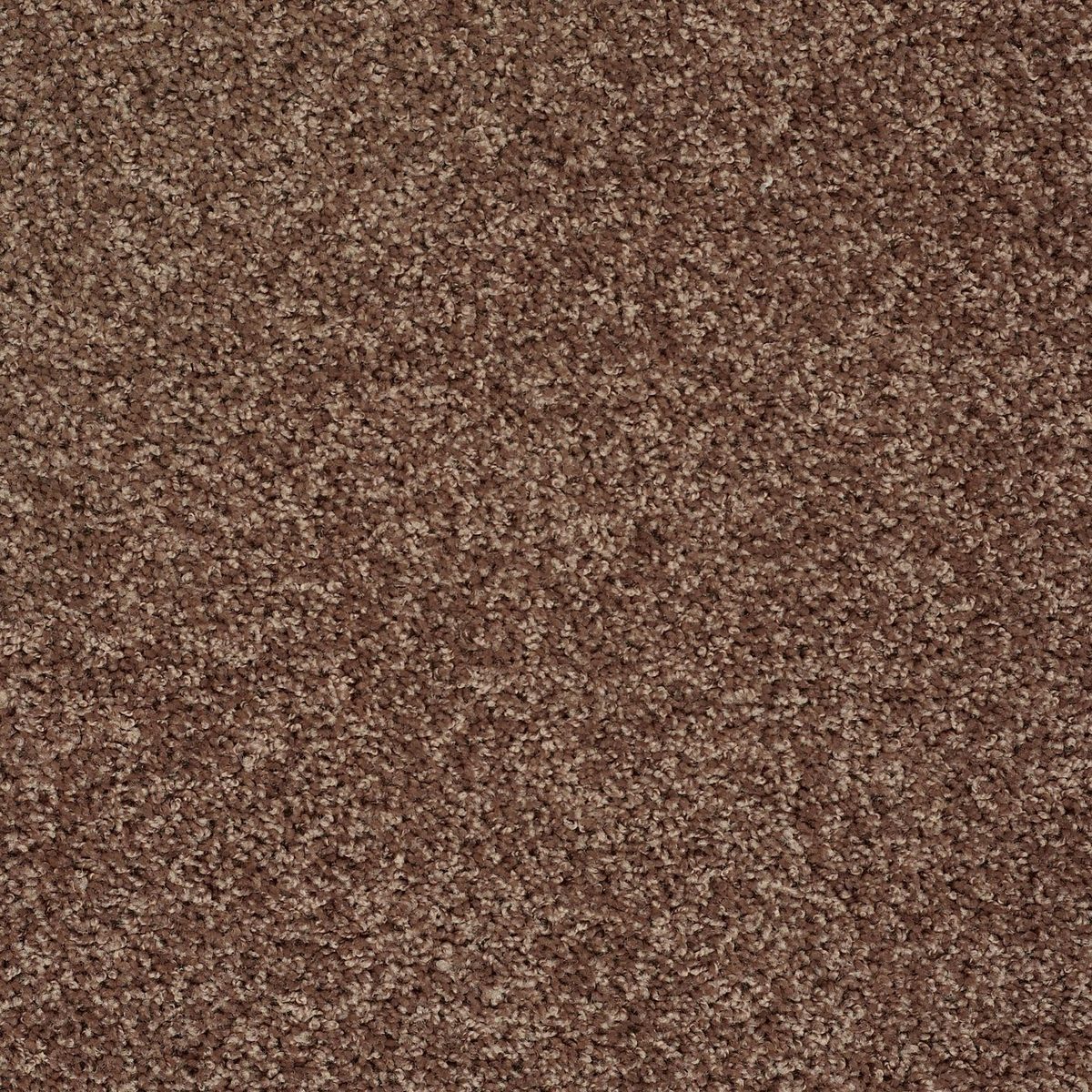 Shaw Floors Break Away (S) Mocha flooring