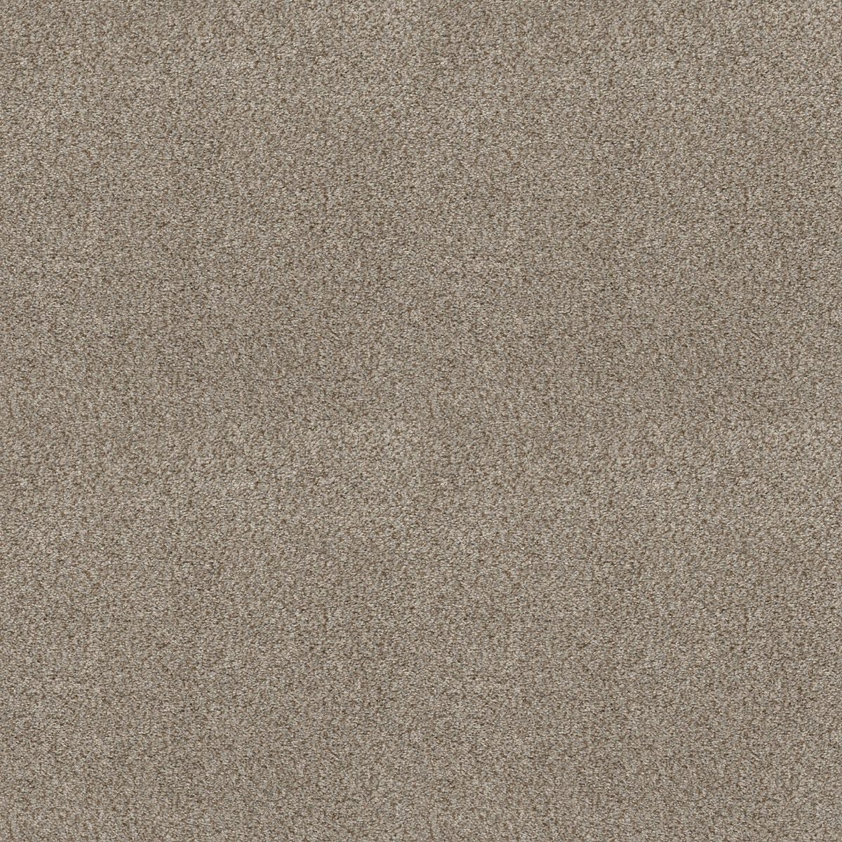 Shaw Floors Cabana Life (B) Beach House flooring