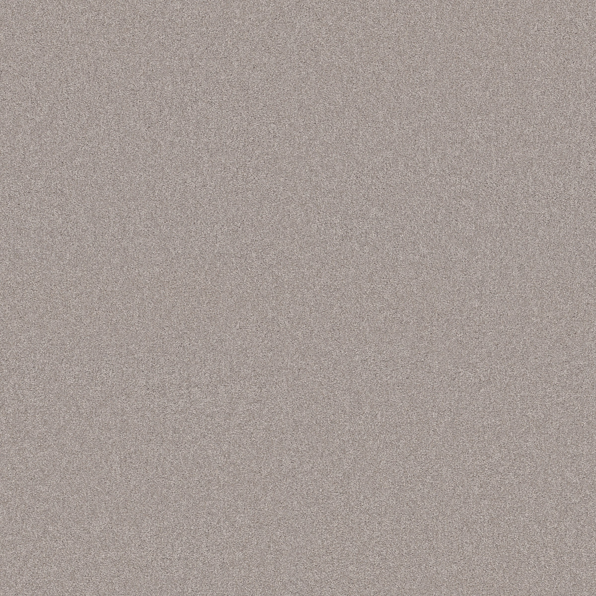Shaw Floors Your Comfort I Shoreline Haze flooring
