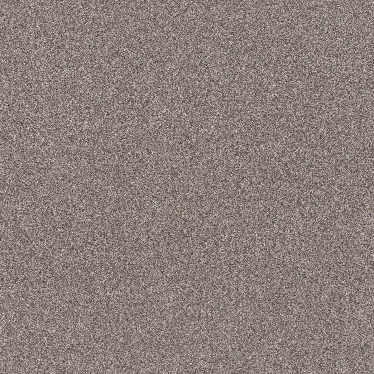 Shaw Floors TruSplendor Stainless flooring