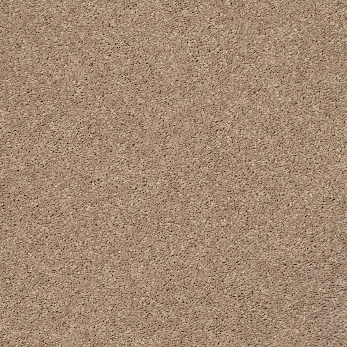 Shaw Floors Cabana Life (S) Camel flooring