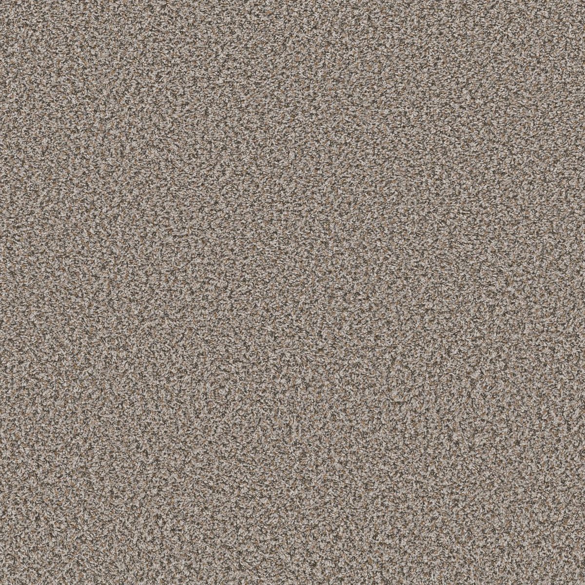 Shaw Floors Break Away (B) Dolphin flooring