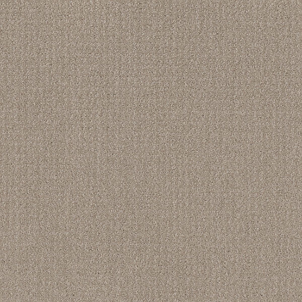 Shaw Floors Translate Sand Swept flooring