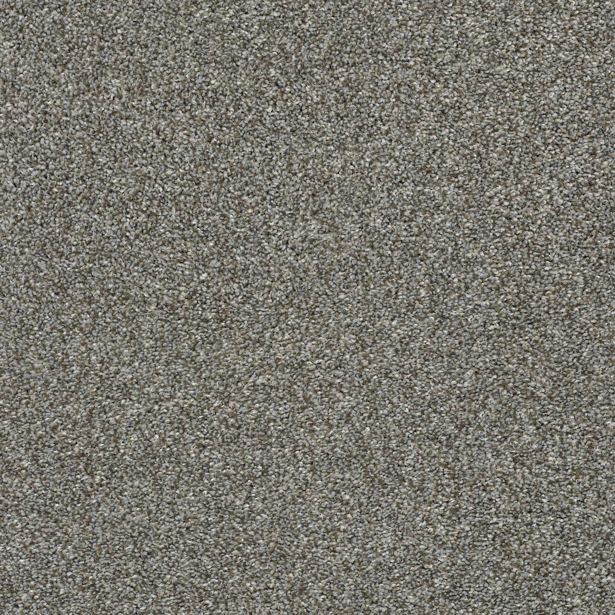 Shaw Floors Cabana Life (T) Walking Trail flooring