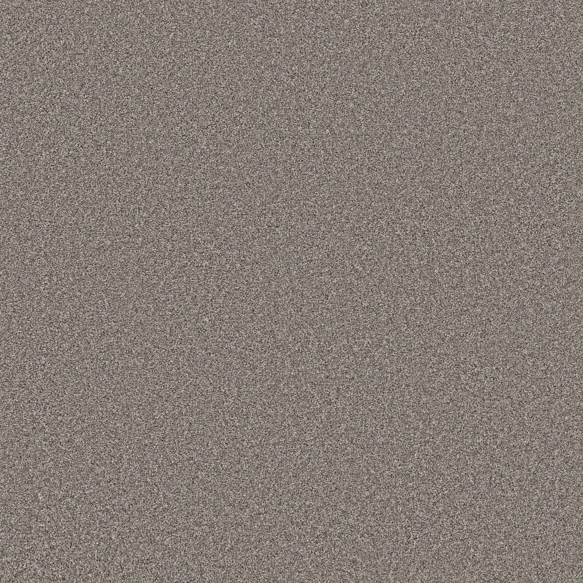 Shaw Floors Wonderland III 12' Pier flooring