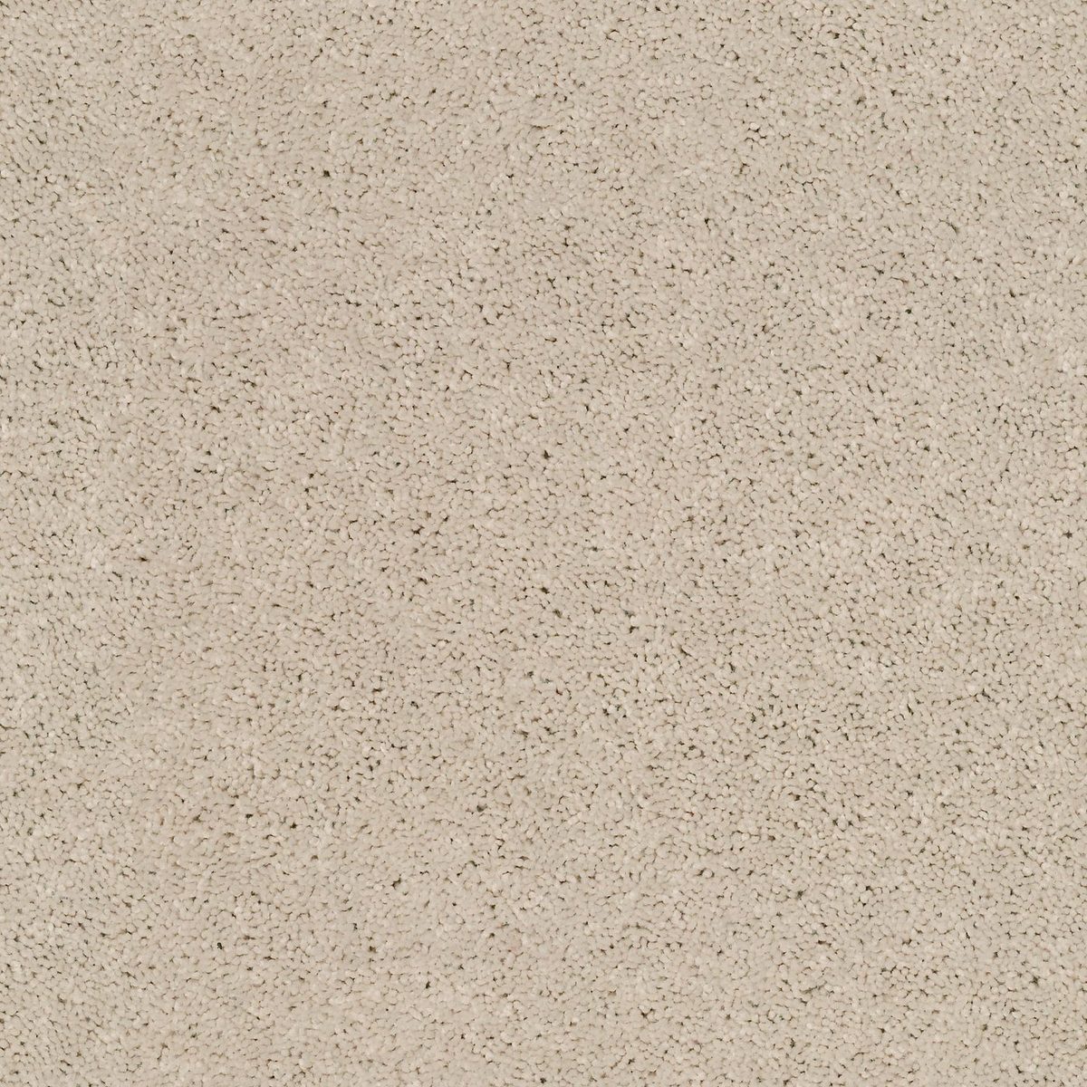 Shaw Floors Cabana Bay (S) Sugar Cookie flooring