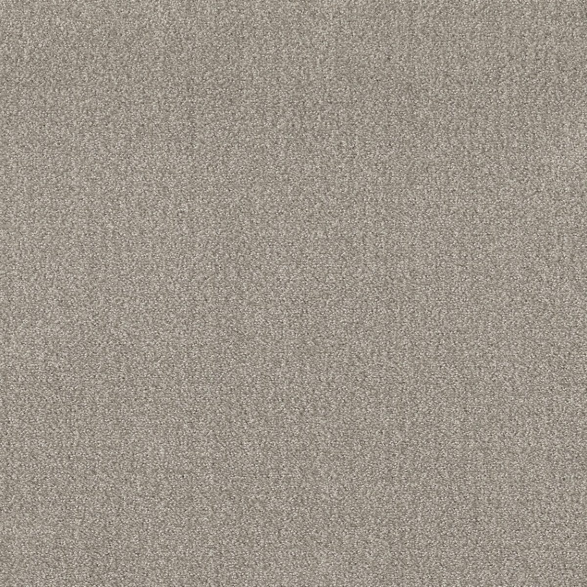 Shaw Floors Translate Fossil flooring