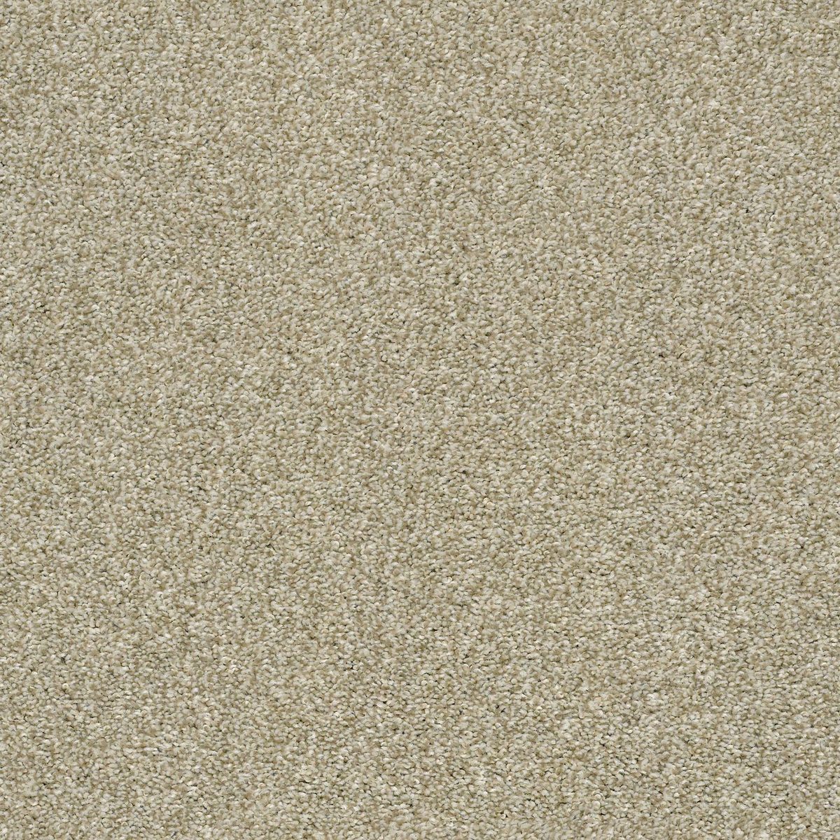 Shaw Floors Cabana Life (T) Wheat Field flooring