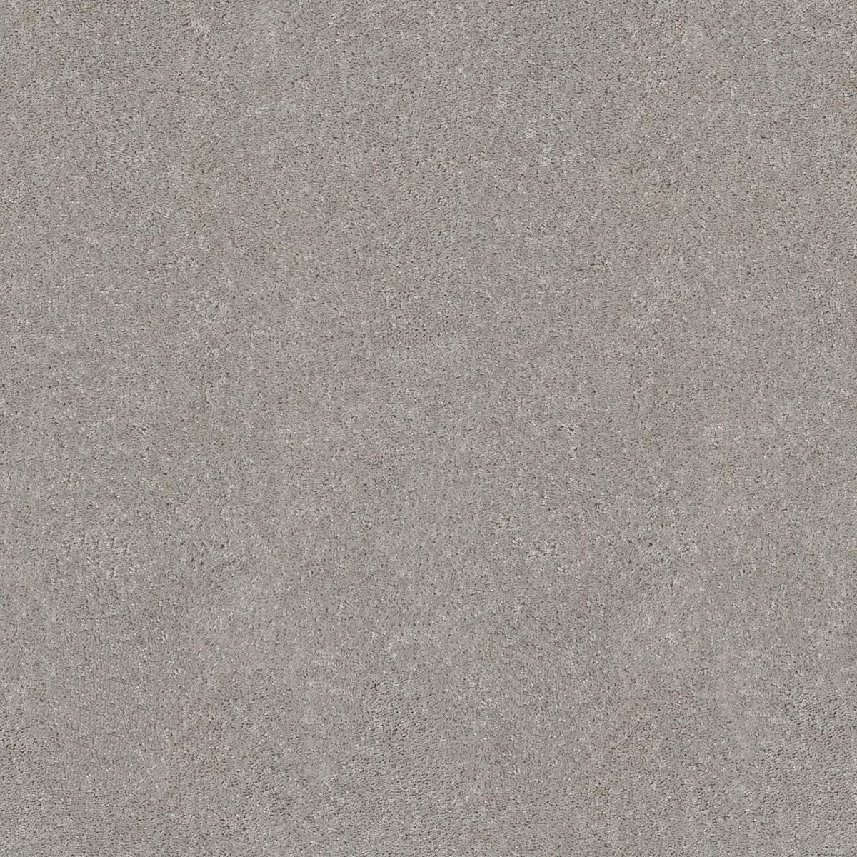 Shaw Floors Hot Topic Silver Mist flooring