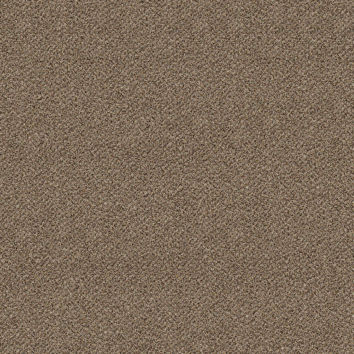 Shaw Floors Break Free Studio flooring