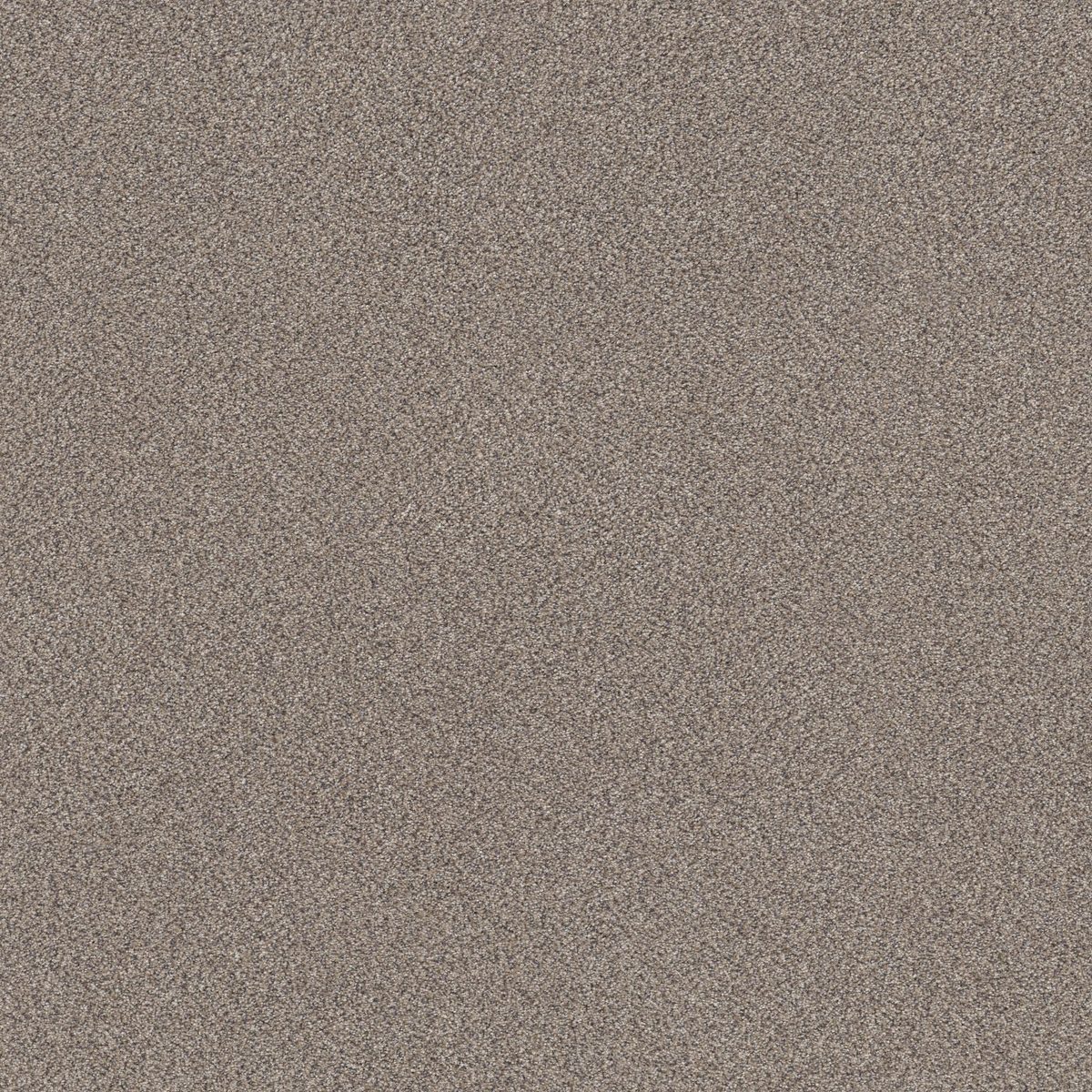 Shaw Floors TruSplendor Concrete flooring