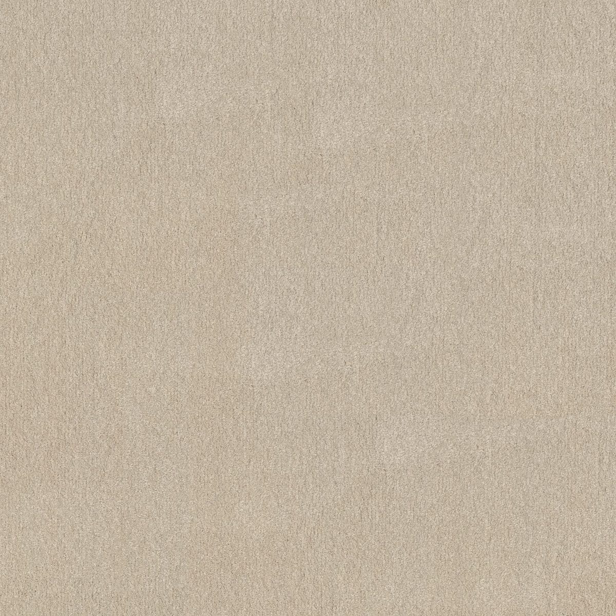 Shaw Floors Easy Spirit I Bleached flooring