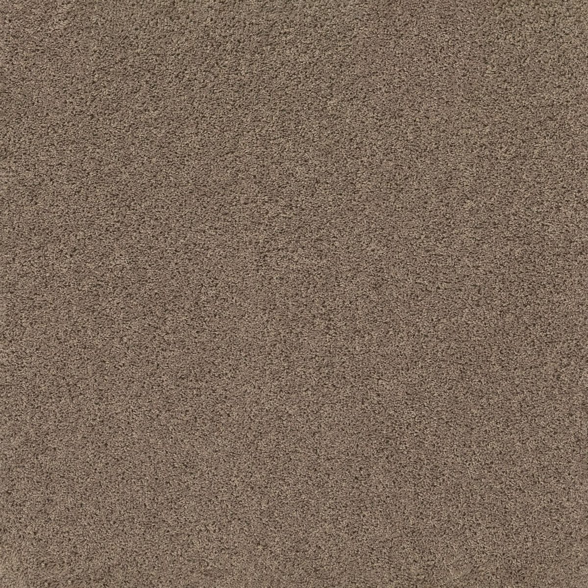 Shaw Floors Break Away (S) Natural Tan flooring