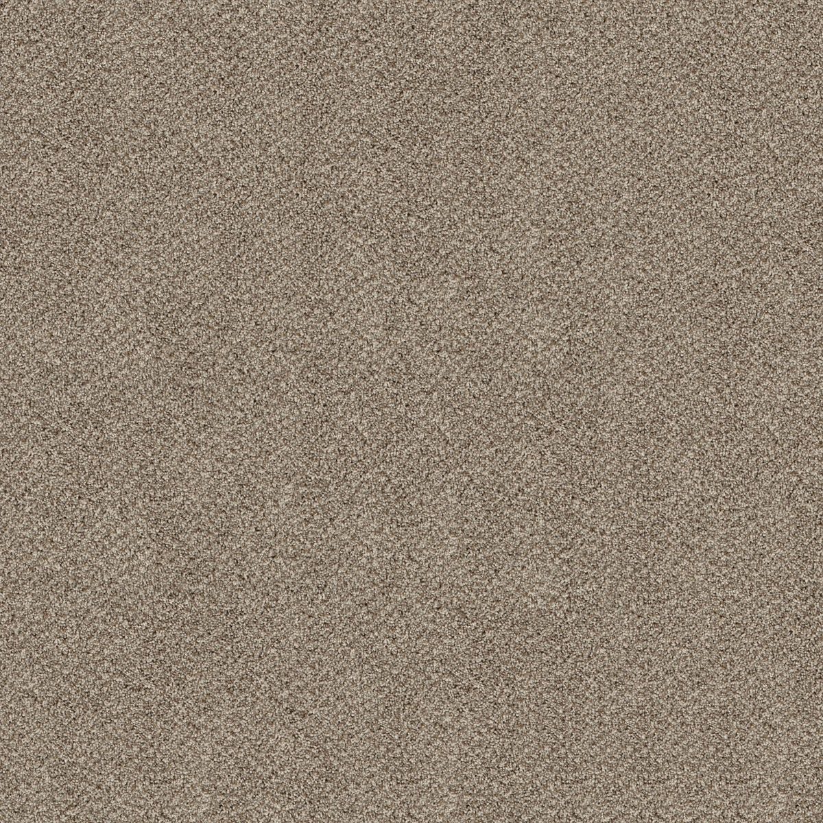 Shaw Floors Break Free Cottage Cream flooring