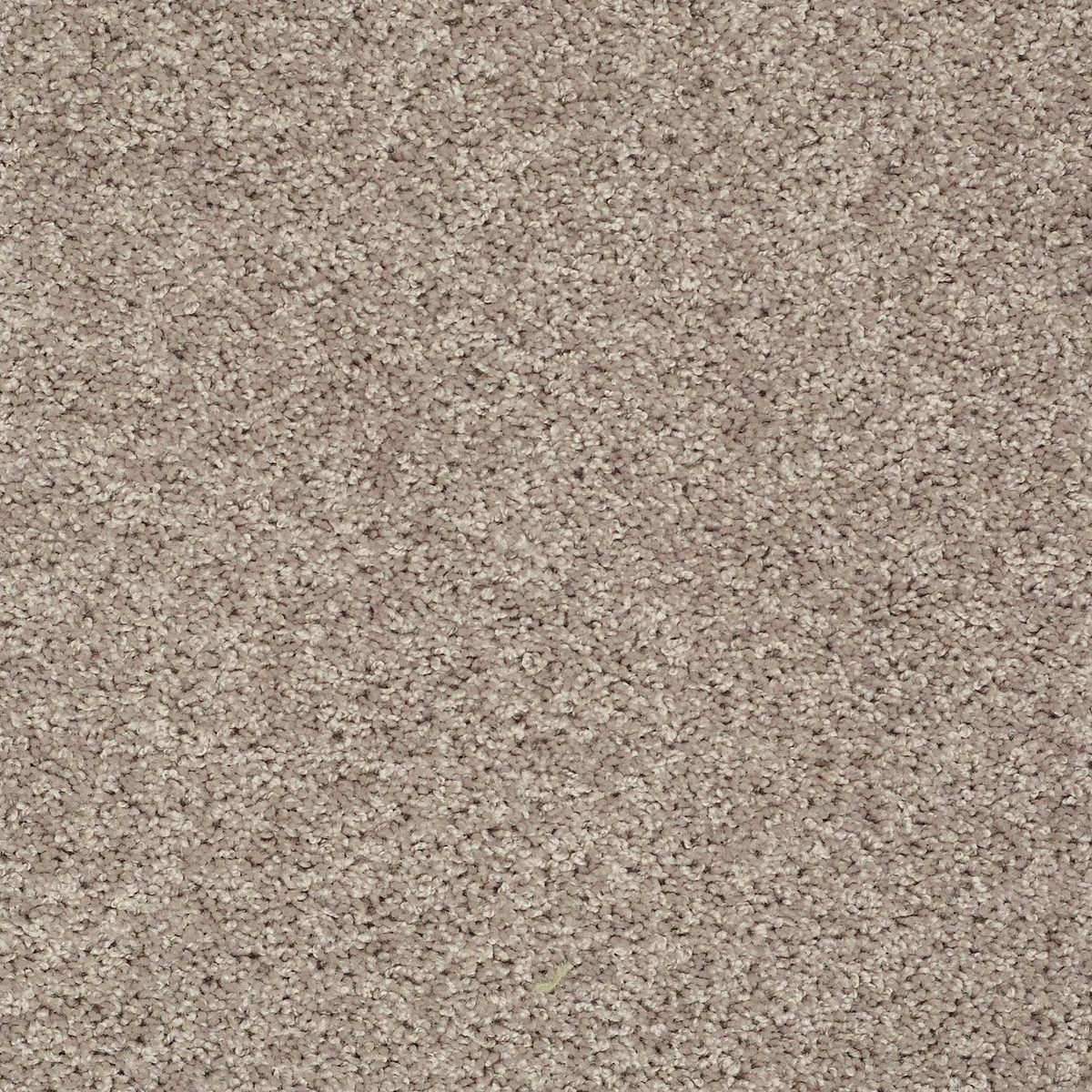 Shaw Floors Break Away (S) Soft Taupe flooring