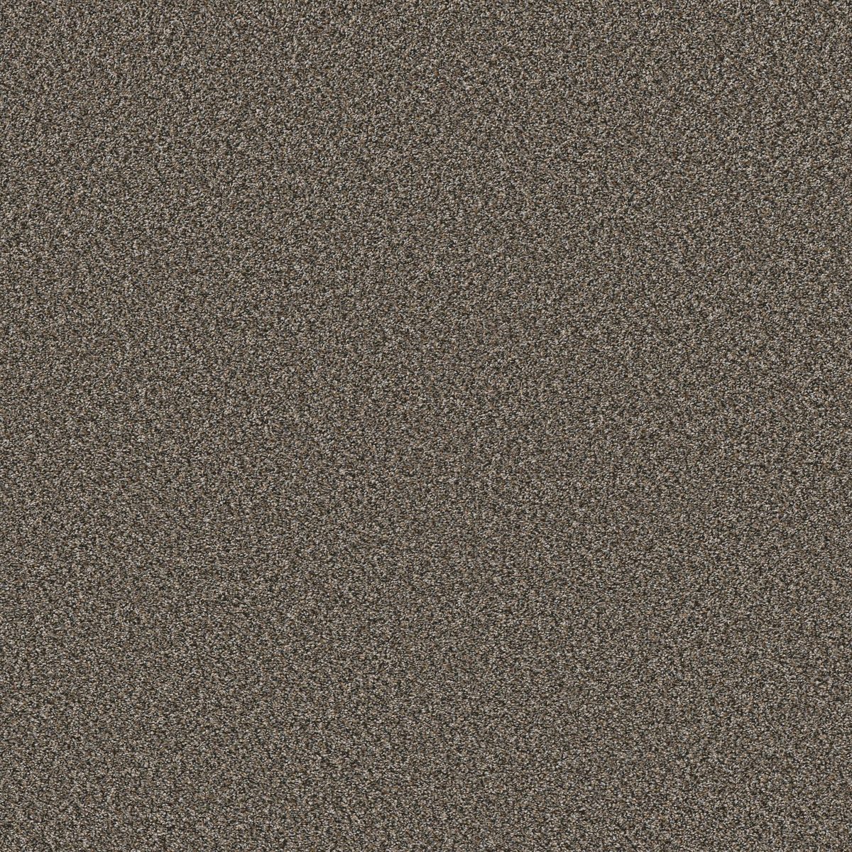 Shaw Floors Soft Radiance Tree Bark flooring