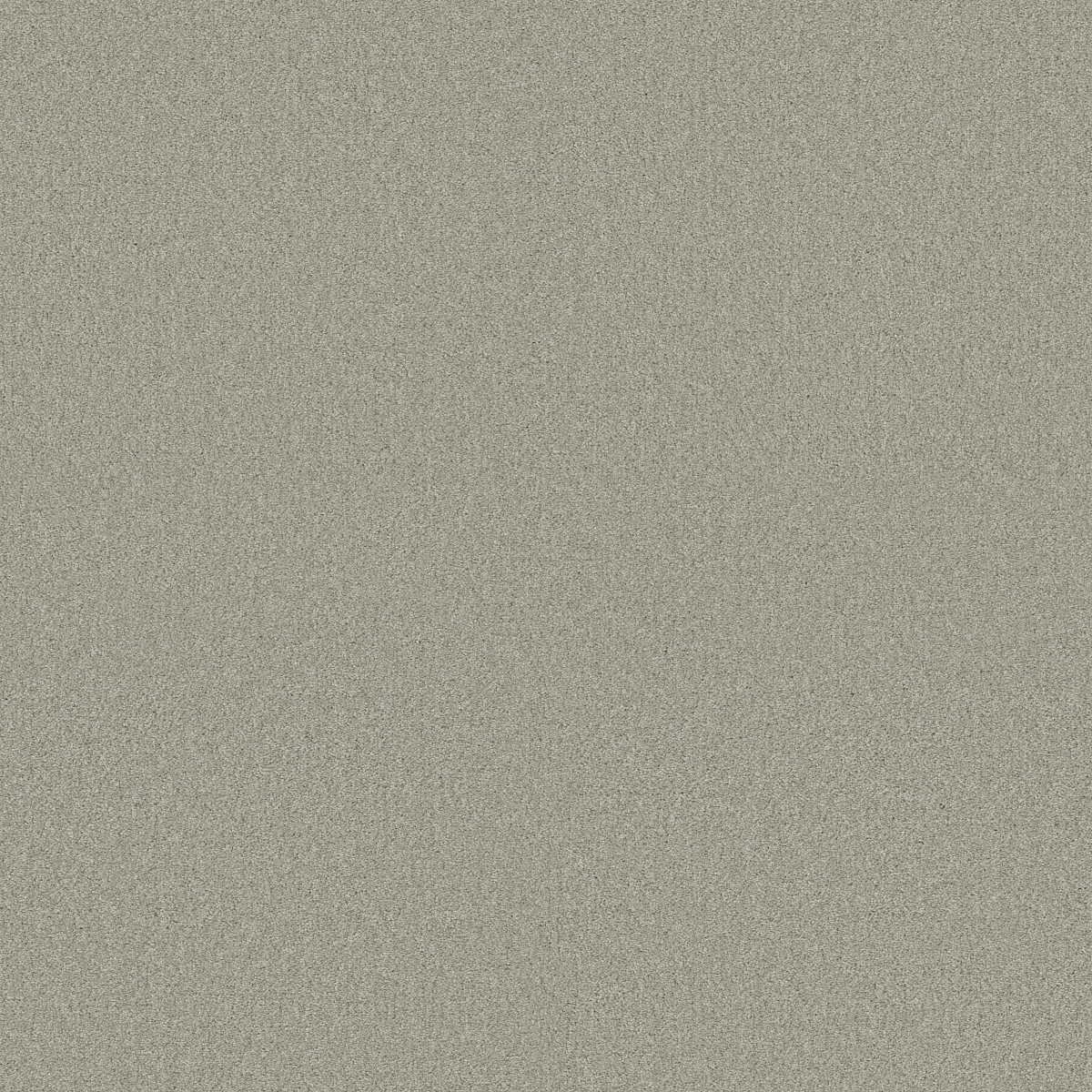 Shaw Floors Your Comfort I Willow Tree flooring